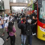 NEDA, DOTr push for 75 % capacity in public utility vehicles image