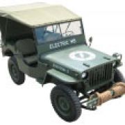 Old dog, new tricks image