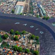 Why are Palafox saying they're not part of PAREX project? image