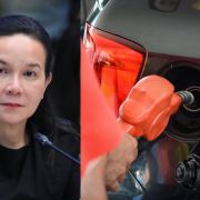 Senator files bill to suspend gas and diesel excise tax image