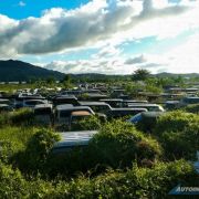 Gov't agencies reject BOC offer to donate luxury cars image