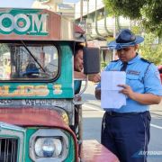 Solon seeks demerit system for drivers image