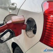 Filling stations will have raised fuel prices for Christmas week image