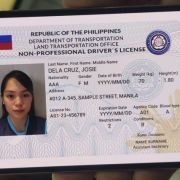 LTO rolls out e-Driver&rsquo;s License via LTMS Portal image