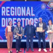 LTO CALABARZON awarded as No registration, No travel champion image