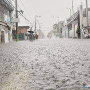 PBBM's flood control project website received almost 2k submissions image