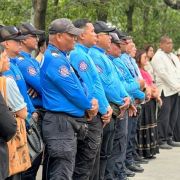 Land Transportation Office appoints new RD for Region VII image