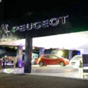 Peugeot PH previews 208 GTI, Expert van image