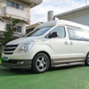 2010 Hyundai Grand Starex Limousine image