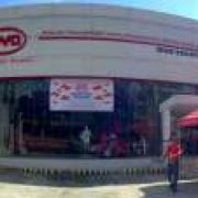 BYD Philippines celebrates first anniversary image