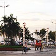 MMDA opens bike lane along Roxas Boulevard image