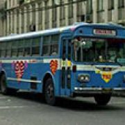 The Love Bus returns image