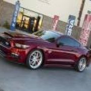 2015 Shelby Super Snake debuts with more than 659 PS image