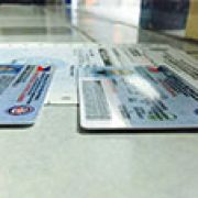LTO receives plastic cards; begins issuing new driver's licenses image