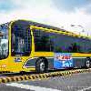 Froehlich Tours partners with MAN for new Low Entry City Bus image