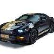 New York 2016 Preview: Ford Shelby GT-H makes early reveal image