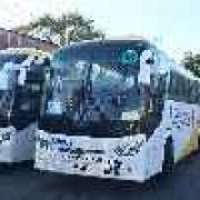 P2P bus service adds Alabang-Makati route image