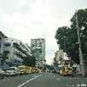 Phase out school bus services that are 15 years or older, says LTFRB image