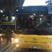 More P2P buses added for motorists affected by new number coding rule image