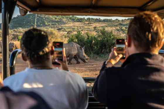 Raptor Raiders: Why Ford is pushing to win world&rsquo;s fastest and toughest 4x4 rally image