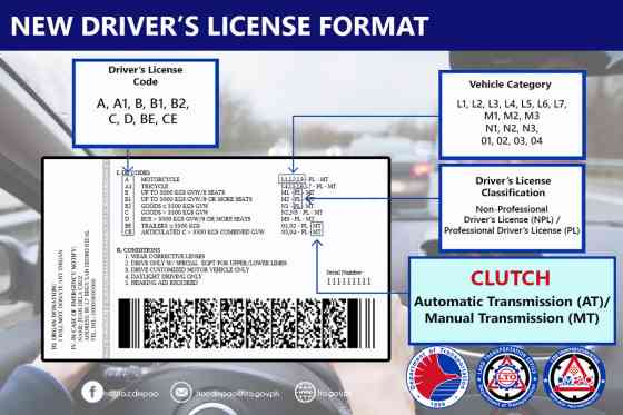 What can you drive under the new license codes? image