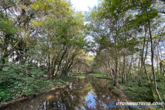 Omoda and Jaecoo: A new way forward image