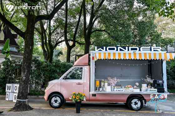 Foton Wonder custom image