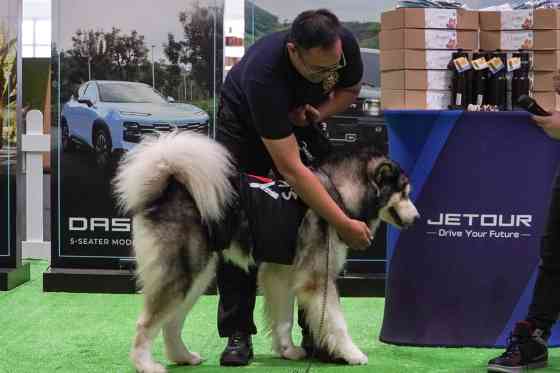 Jetour Auto PH holds first-ever Furry Friends pet day image