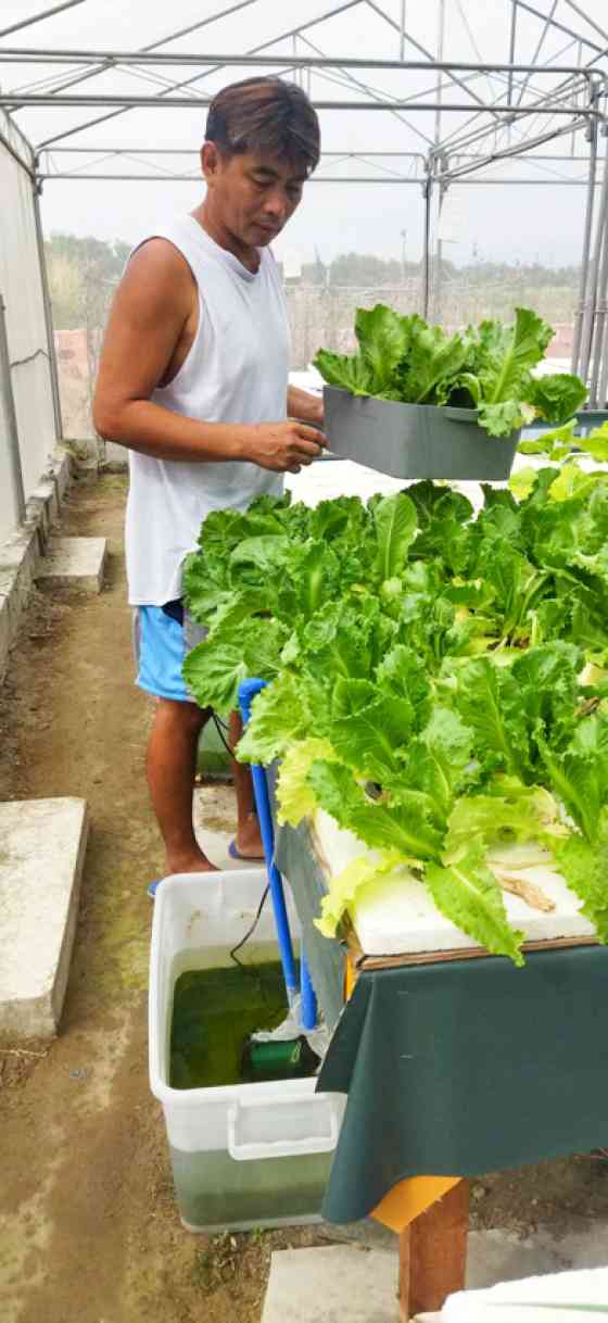 NLEX-SCTEX Farm: Growing food security & livelihoods image