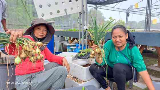 NLEX-SCTEX Farm: Growing food security & livelihoods image