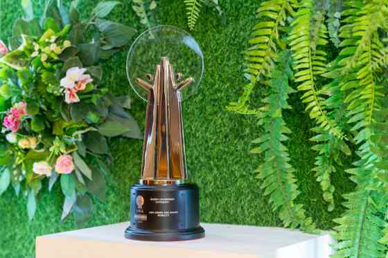 Green GSM electric taxi service awarded prestigious Green Leadership image