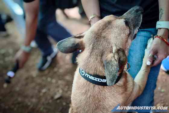 Mazda PH gives a helping hand to Pawssion Project animal shelter image
