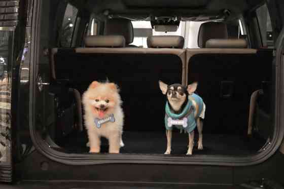 Jetour Auto PH celebrates 2nd Annual Media Pet Day image