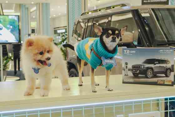Jetour Auto PH celebrates 2nd Annual Media Pet Day image