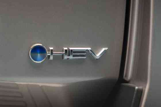 Will Euro-spec Toyota Land Cruiser 300 HEV be similar to what PH gets? Will Euro-spec Toyota Land Cruiser 300 HEV be similar to what PH gets? image