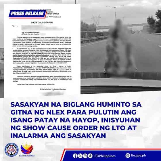 Update: LTO issues SCO to driver; NLEX: sudden stop high risk to road users image