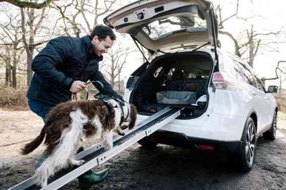 Canine-friendly Nissan X-Trail 4Dogs concept revealed  image
