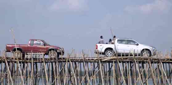 Ford studying bamboo as next-gen raw material  image