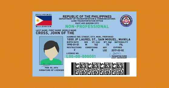 5-year driver&rsquo;s license validity a &ldquo;done deal&rdquo; in Senate, says Poe image