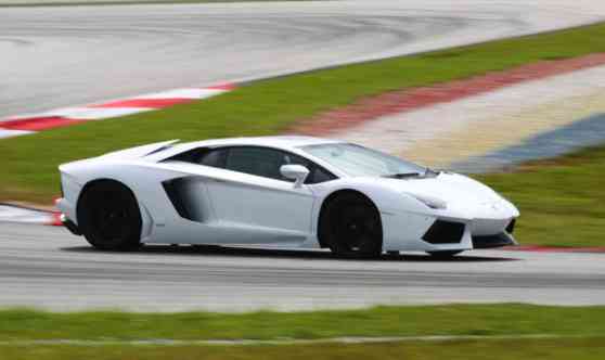 Taming the Bull image