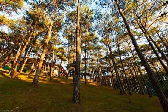 Places to drive in 1988: Heading Northbound image