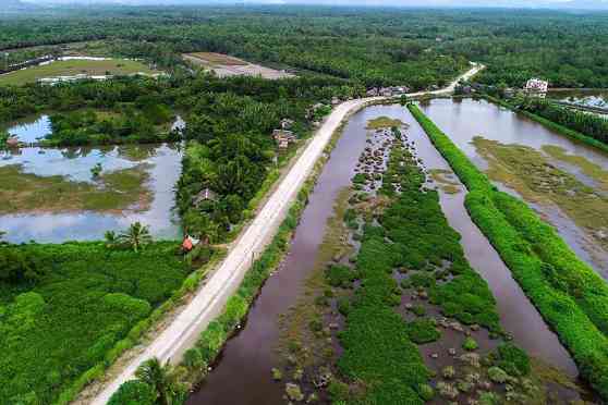 DPWH to complete new 7.55 km road in Agusan del Norte  image