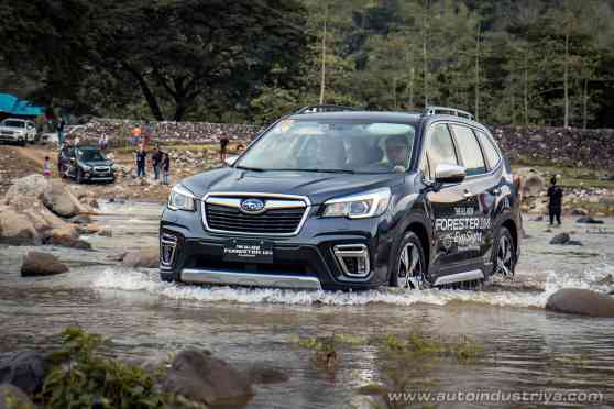 Roughing it out with the 2019 Subaru Forester image