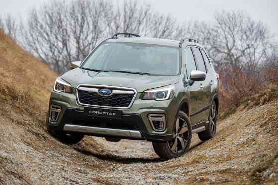 Special discounts, promos await at 2019 Subaru Tanabata Festival image