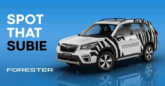 Have you seen a zebra-striped Subaru Forester lately? image