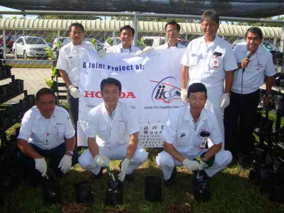 Honda leads planting of Narra seedlings image