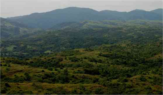 Toyota begins 2nd phase of Philippine Penablanca reforestation project image