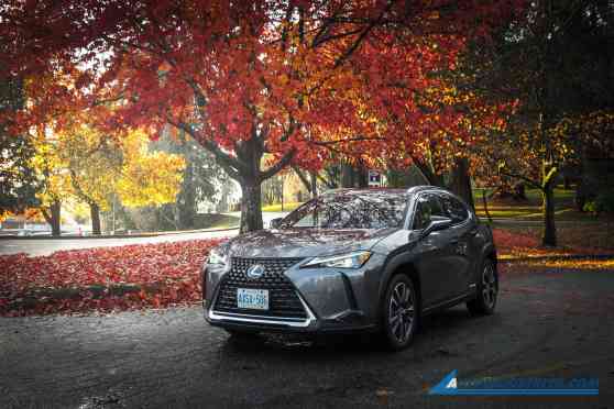 Exploring urban Vancouver in a hybrid image