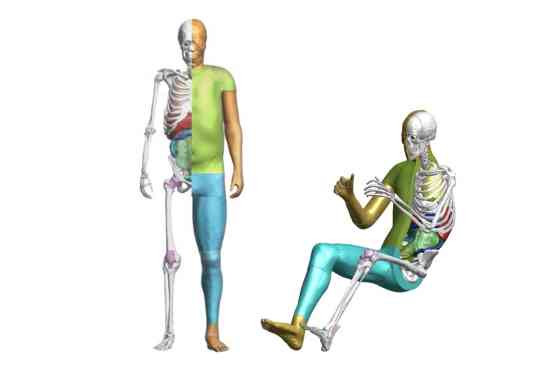 Toyota is making their virtual crash test dummy available for all image