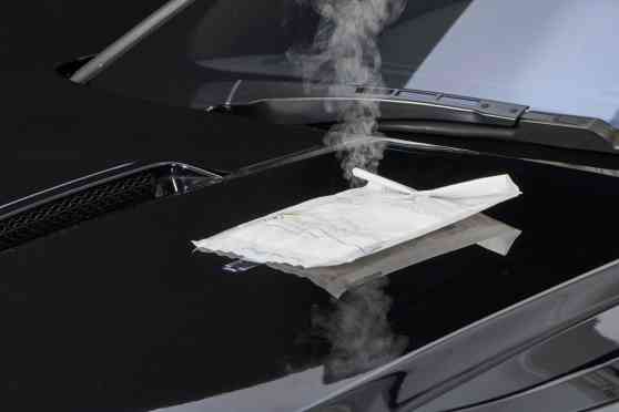 New procedure can remedy bird poop damage on your car paint image